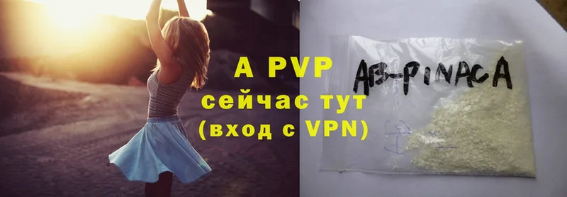 A PVP СК КРИС  Амурск 